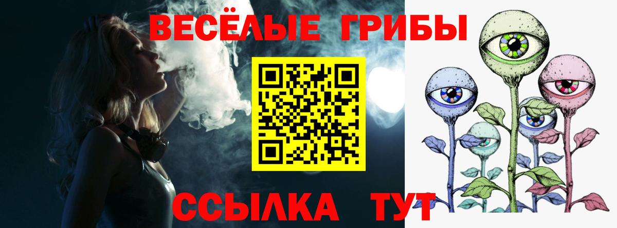 Омск  Галлюциногенные грибы Cubensis  Вход с VPN 